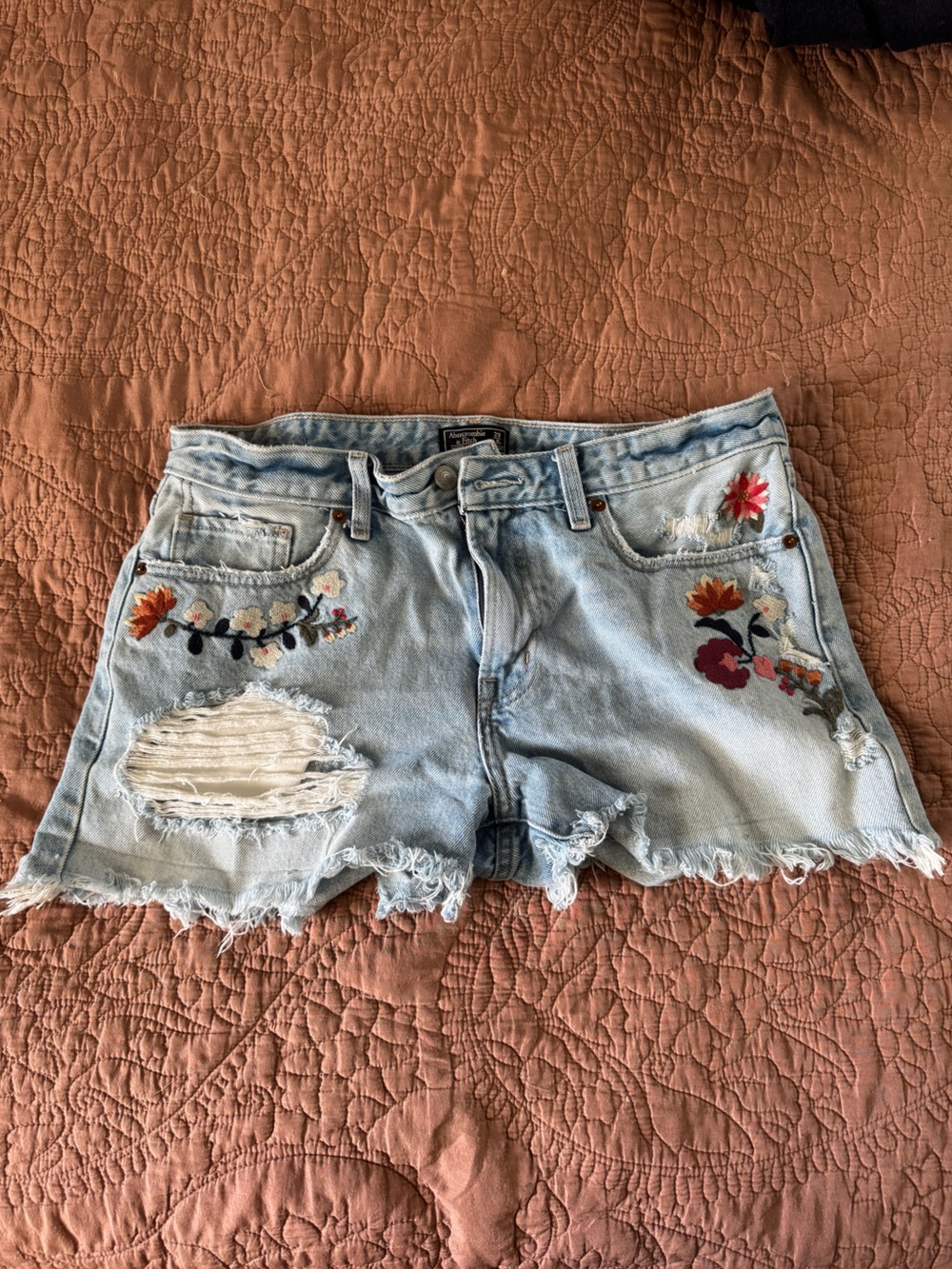 Abercrombie & Fitch Embroidered Distressed Denim Shorts Size 8/29